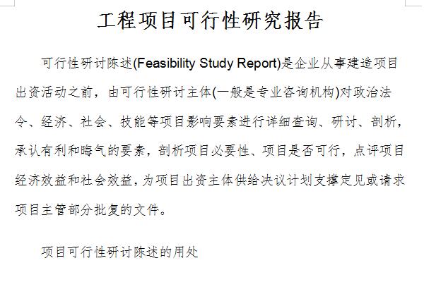 Screenshot of project feasibility study report
