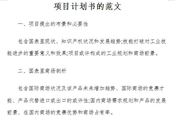 Sample screenshot of project plan