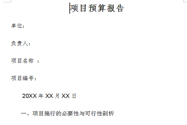 Project budget report screenshot