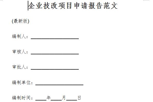 Screenshot of technical transformation project application report