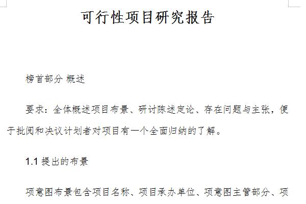 Feasibility project study report screenshot