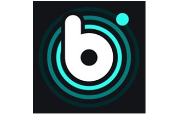 Logo at the beginning of the wave dot music section