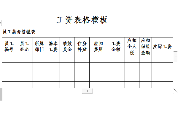 Screenshot of standard salary table template