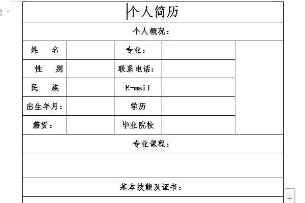 Screenshot of electronic version of resume format