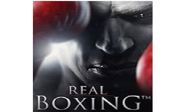 real boxing