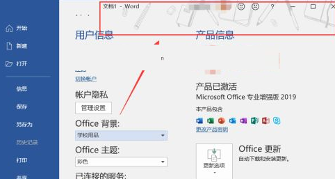 screenshot of Office 2019