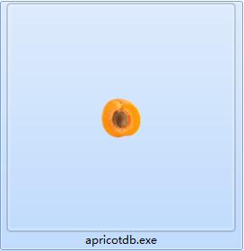 Apricot DB screenshot