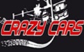 Crazy racing section first LOGO