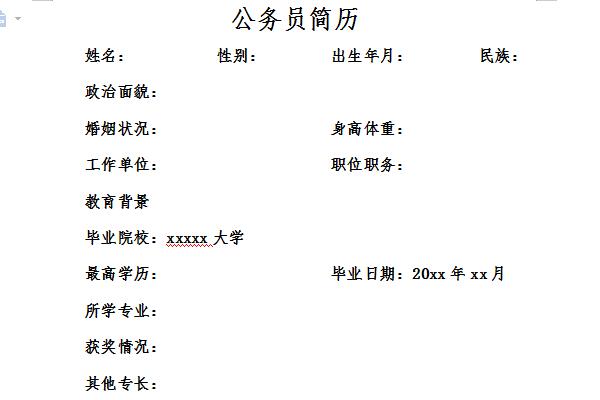 Screenshot of civil servant resume