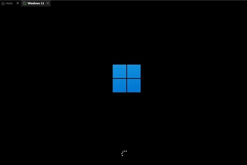 Screenshot of Microsoft win11 system