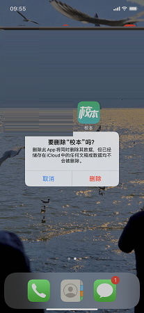 School-based screenshots