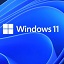 Microsoft win11 system