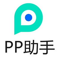 PP assistant