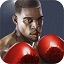 King of boxing