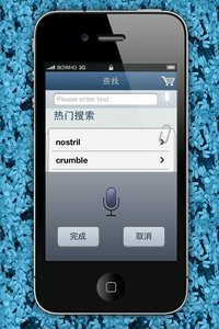 English-Chinese dictionary screenshot