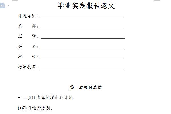 Screenshot of graduation social practice report sample