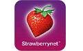 Strawberry network segment first LOGO