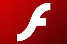 Adobe Flash Player section first LOGO