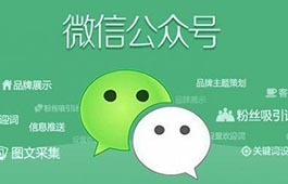 WeChat Public Platform Assistant Logo