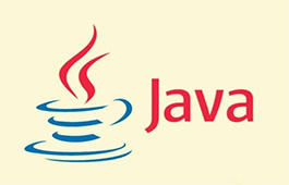 Sun Java SE Development Kit (JDK) paragraph first LOGO