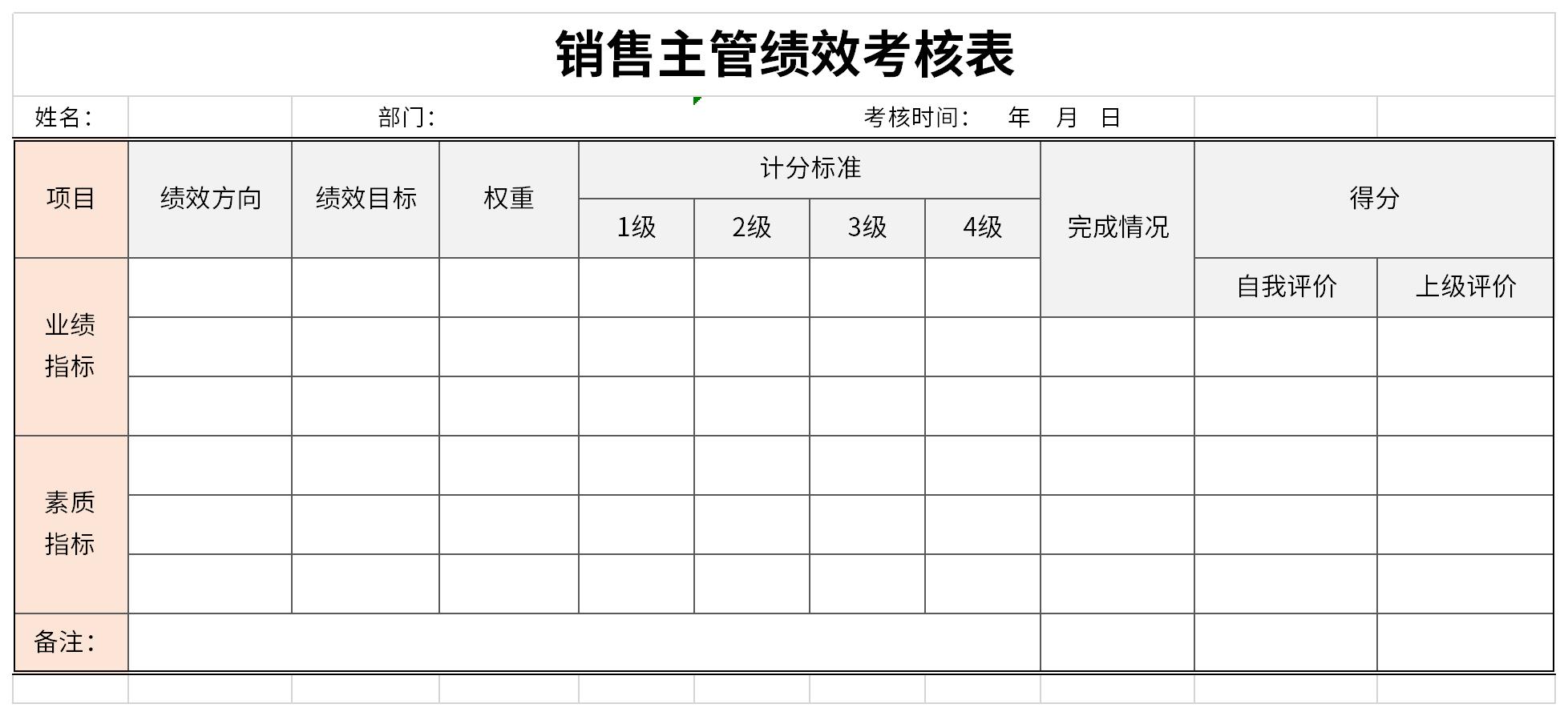 Screenshot of sales manager performance appraisal form