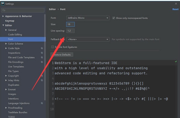 WebStorm 2020 screenshots