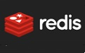 Redis segment first LOGO