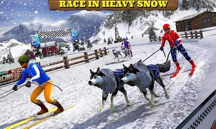 Sled Dog Race 2017 Screenshot
