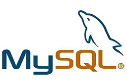 MYSQL segment first LOGO