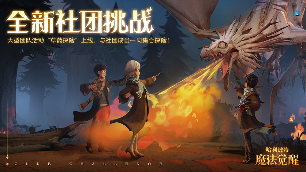 Harry Potter: Magic Awakens screenshots