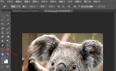 photoshop screenshot