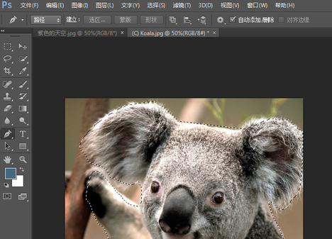 photoshop screenshot