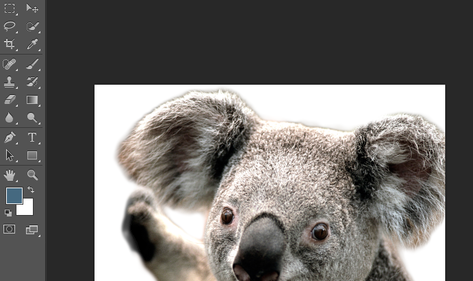 photoshop screenshot