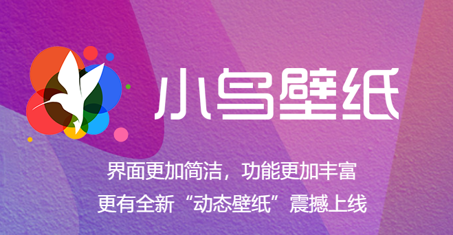 Screenshot of bird wallpaper