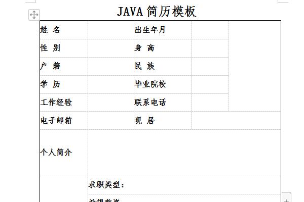 Screenshot of java programmer resume template