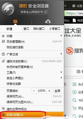 Cheetah browser screenshot