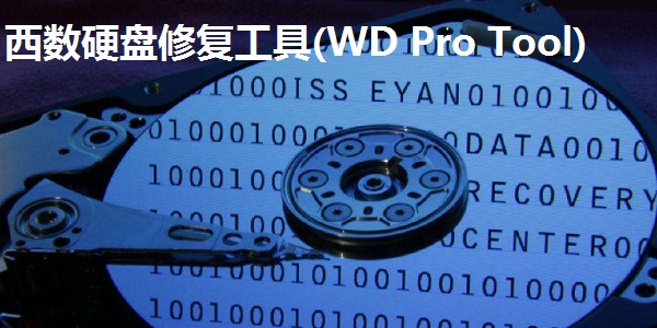 Screenshot of WD Pro Tool