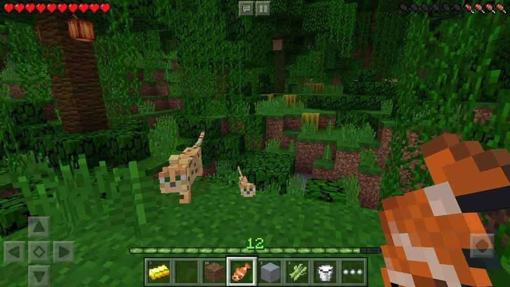 Minecraft JAVA version official latest version download