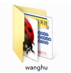 Internet fox screenshot