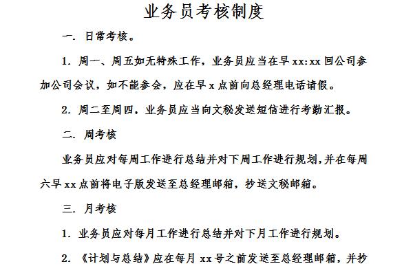 Screenshot of salesperson assessment system