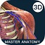 Anatomy Master PC version