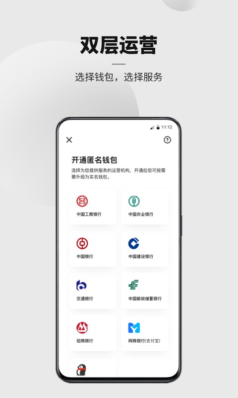 Digital RMB App screenshot