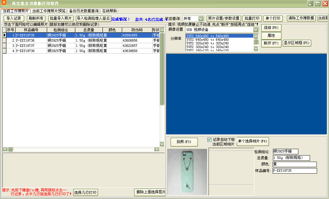 Screenshot of jewelry appraisal book typesetting and printing software