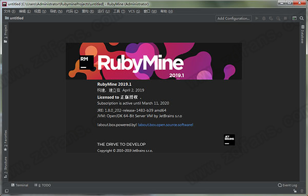 RubyMine2019 screenshots