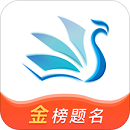 Zhiyi Volunteer Application Computer Version