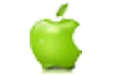 Green Apple Commercial Concrete Floor Scale Software Section First LOGO