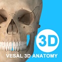 Vesalius 3D anatomy teaching computer version