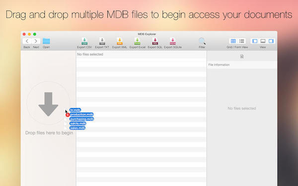 Screenshot of MDB Explorer for Mac