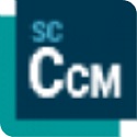 StarCCM