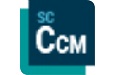 StarCCM segment first LOGO
